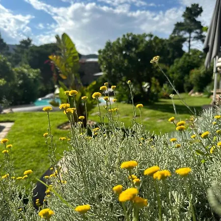 Ambassador Palombaggia Hotel 4*