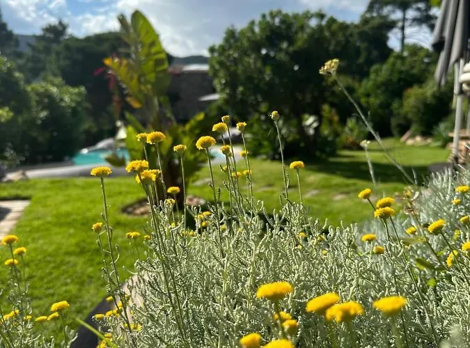 Ambassador Palombaggia Hotel 4*